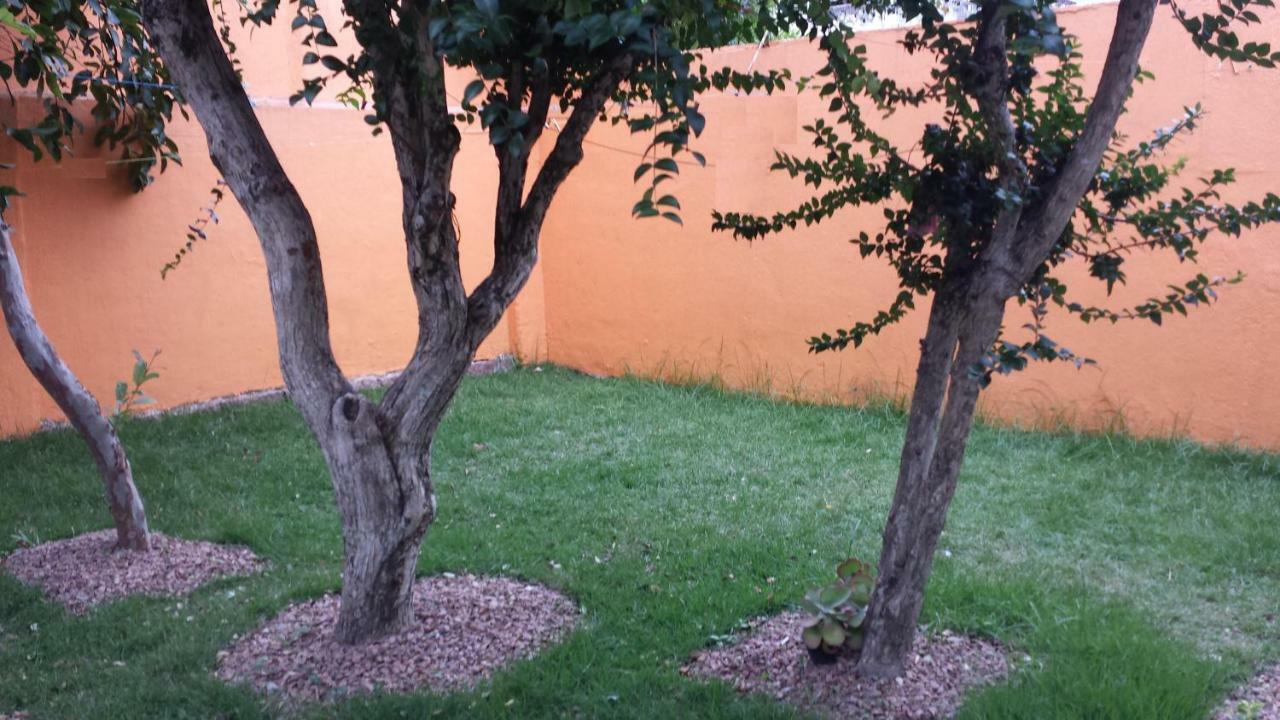 Do Parque Porto Alegre